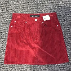 Express Corduroy Skirt